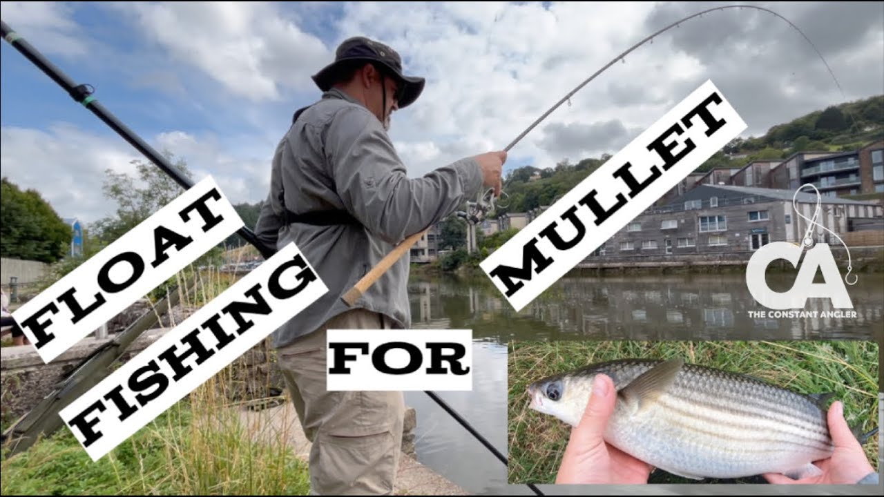 Mullet Fishing - Float Fishing Rivers for Mullet - Perseverance Pays Of Big Time !!!!