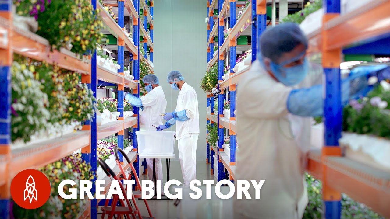 Are Vertical Farms the Future of Agriculture?