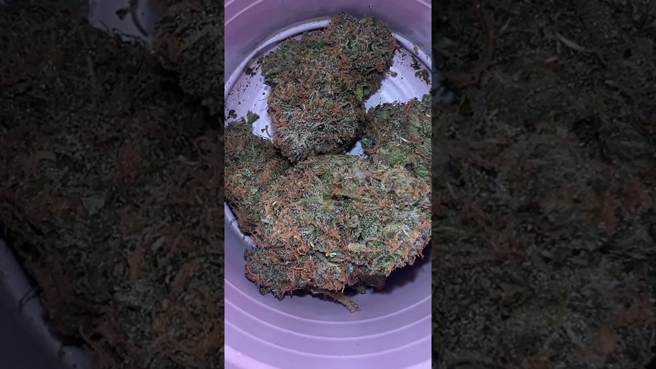 Lamez By Life Is Not Grape💨💨#420 #gas