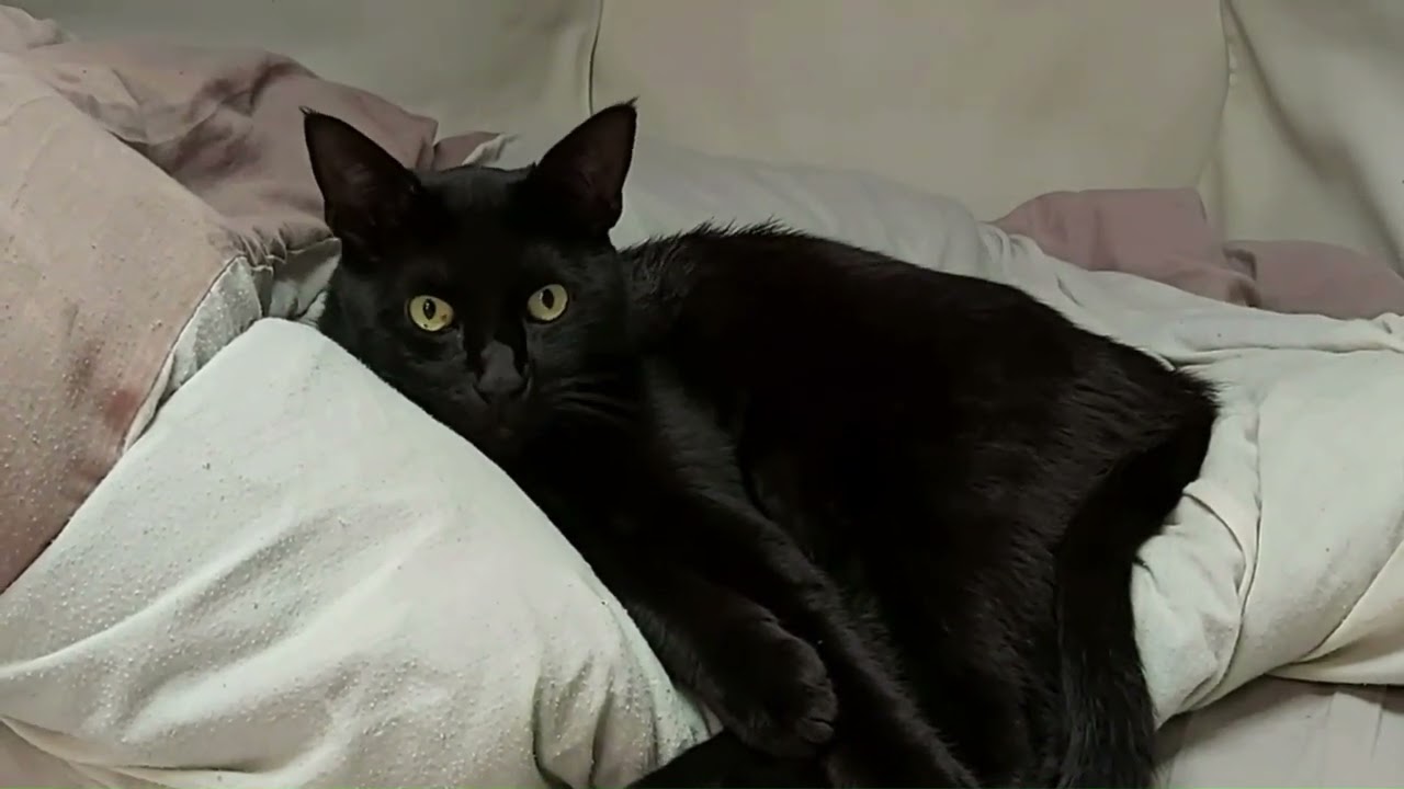 Peaceful sleep