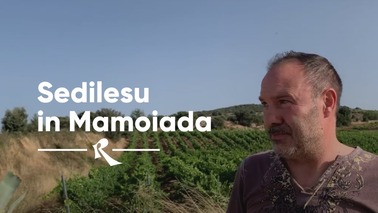 Sedilesu in Mamoiada - The Vineyards