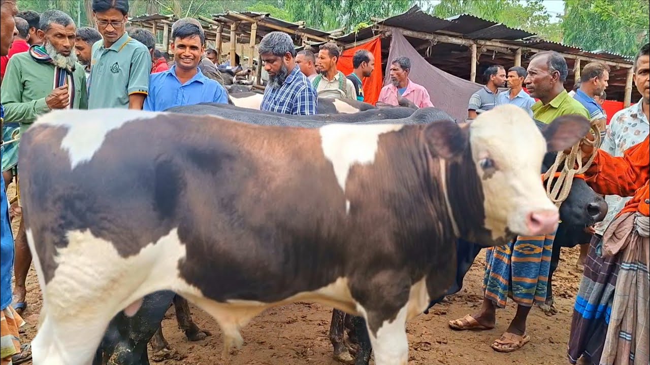 @আজ ১৩ মার্চ