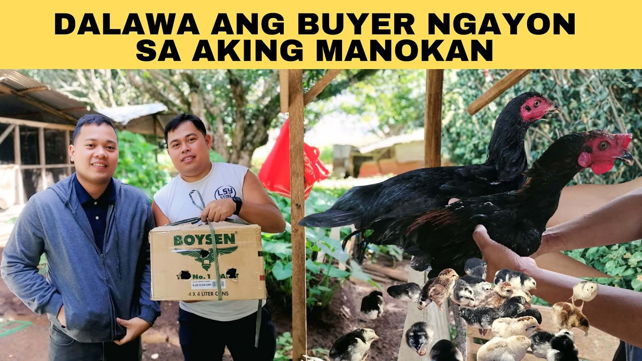 Dalawa ang buyer ngayon sa aking manokan