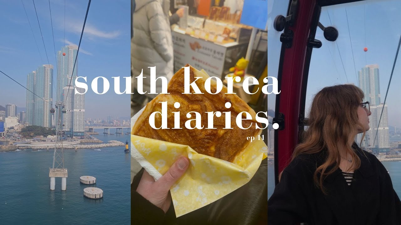 Korea diaries in YU (cafe, Farewell party, Busan...)