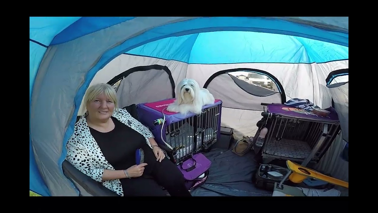 Dundee Canine Club Gathering at Errol Showground | Drone & Walkaround Footage  7th June 2025