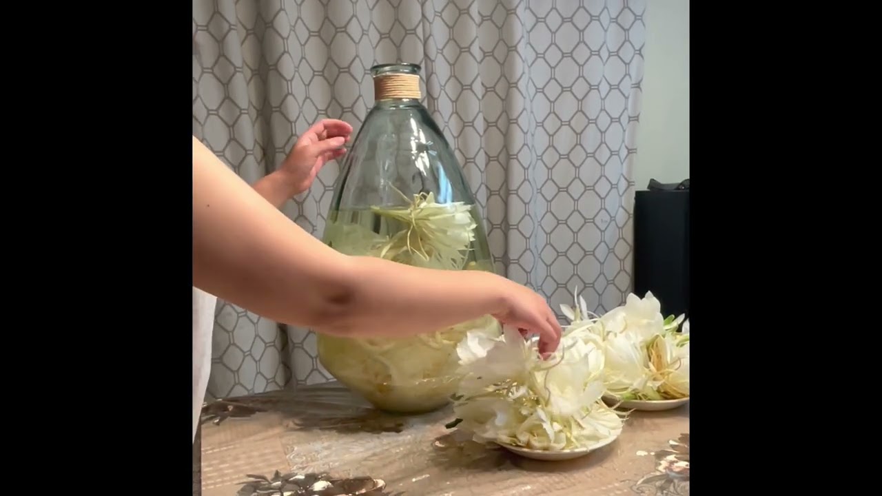 Epiphyllum oxypetalum (queen of the night) flower in Alcohol with big glass vase bottle