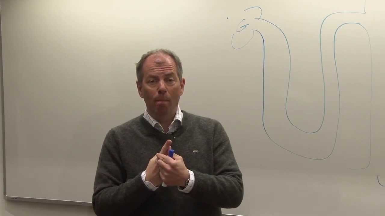 College prof.dr. Bob Zietse: Hematurie