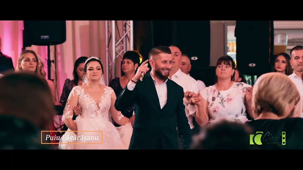 Puiu Fagarasanu,super colaj de petrecere si voie buna live 2024