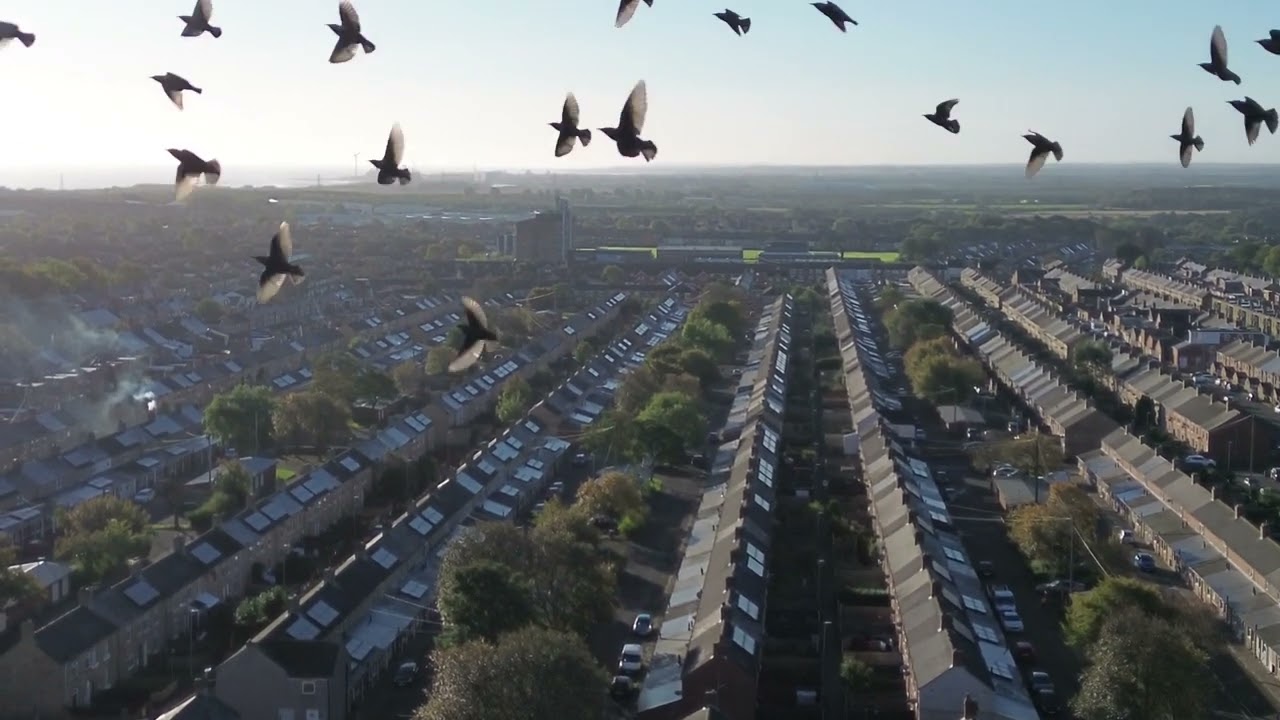 Ashington Tree Streets From Above