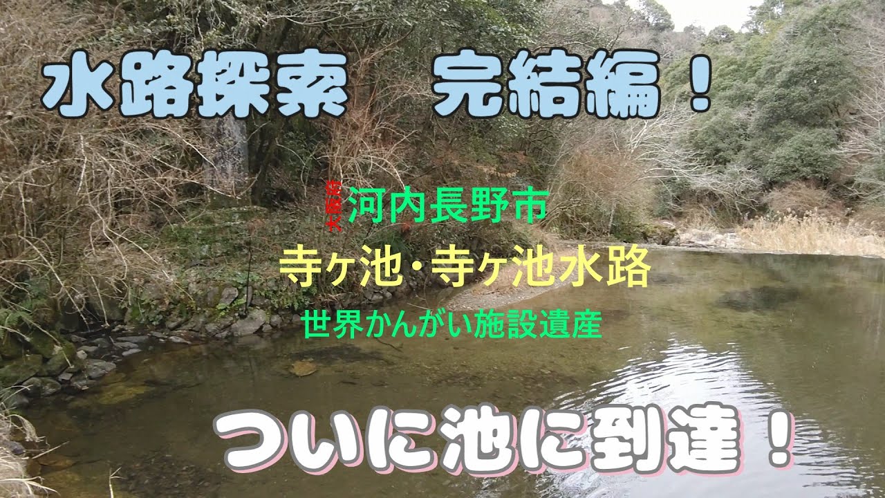 【寺ヶ池・寺ヶ池水路 探索】完結編