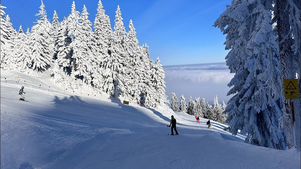 ⛷️ Acum: Telescaun Ruia - Telegondola Postavaru 
