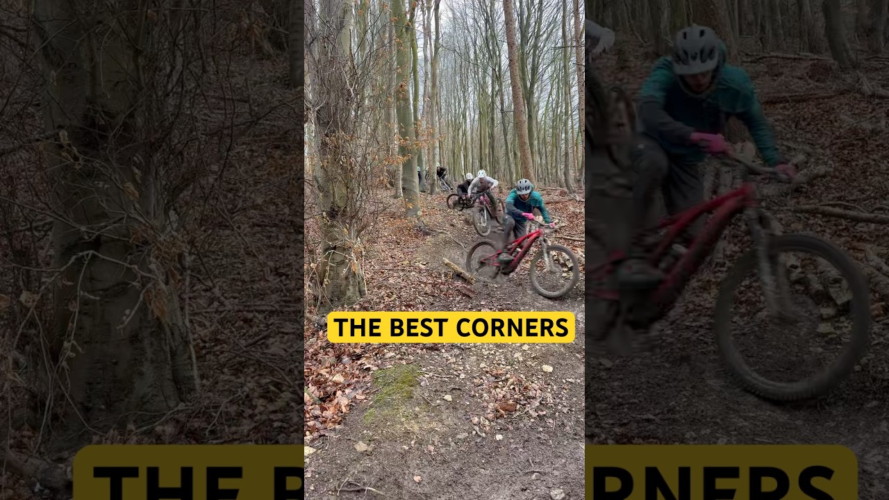 MEGA TRAIN at DALBY FOREST🔥🔥 #mtb #mountainbike #outdoors