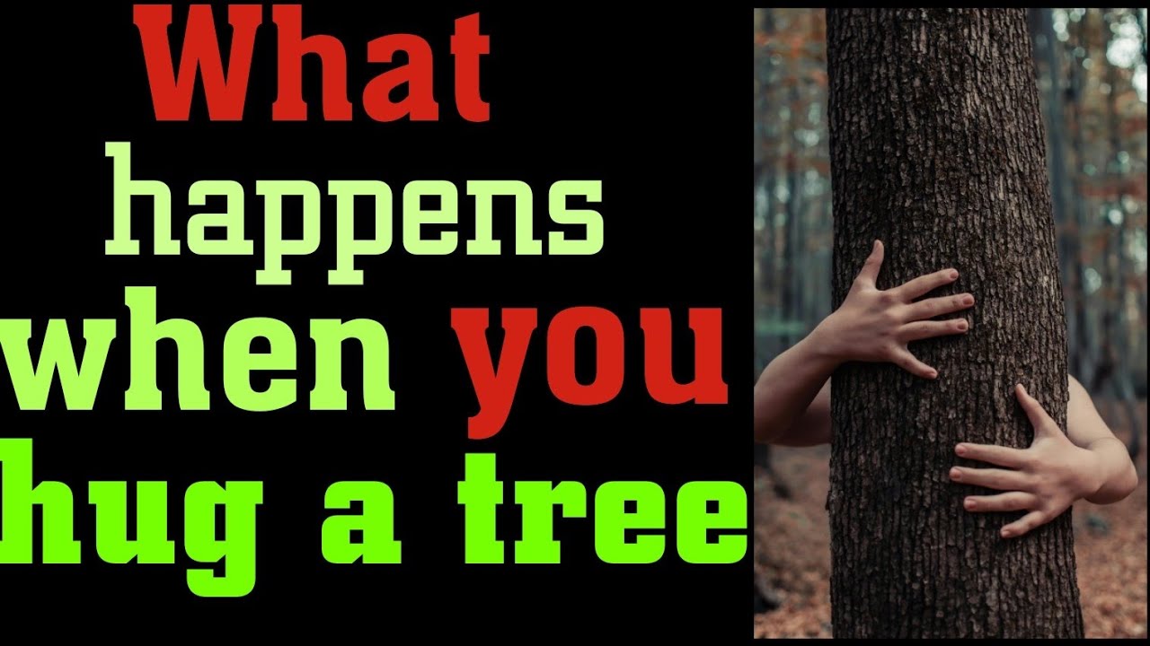Benefits of grounding, walking barefooted and hugging trees 