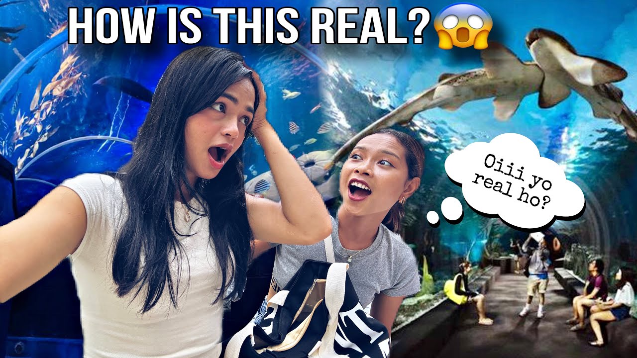 ШОКИРОВАН ВАЙЕМ ХАМИ 😭😱САМУНДРА ВИТРА КО ДЖИНДАГИ ЙЕСТО ХУДО РАЙЧА 😍 SEA LIFE BANGKOK