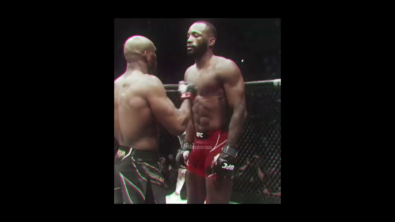 Leon's logic #ufc  #mma #trending #viralvideo #shorts