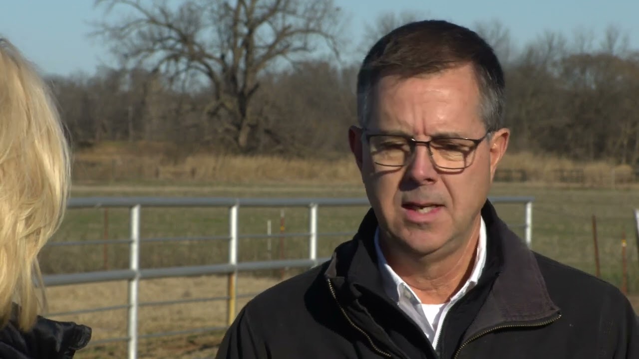 What Will 2025 Bring for Cattle Producers?