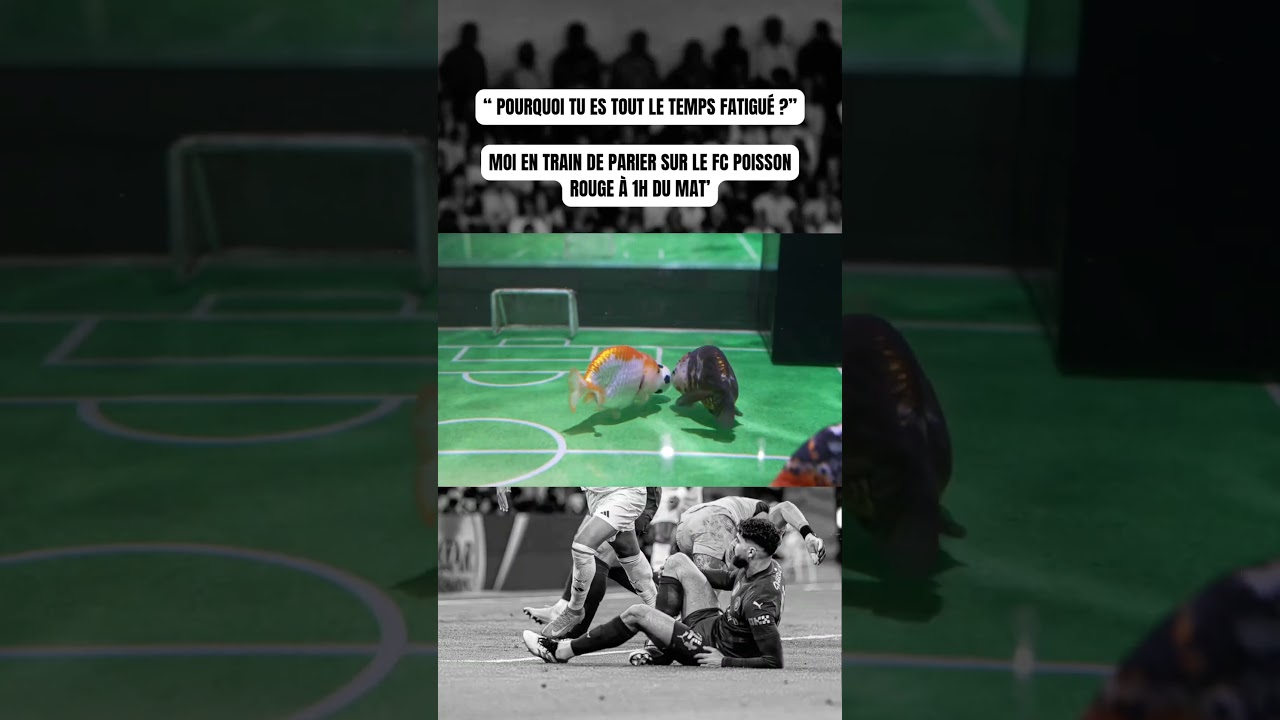 Football fish#FootMeme #ReelsFootball ️#Ligue1 #fish #humour