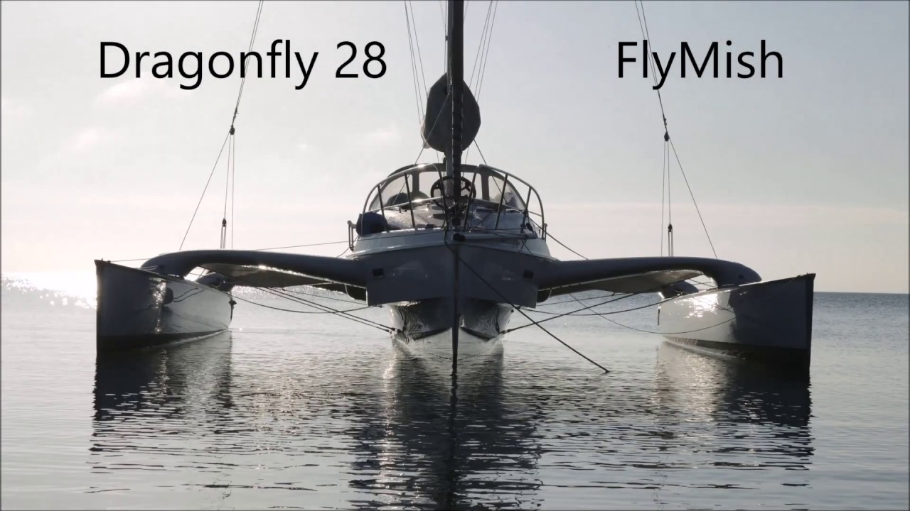 Dragonfly 28 