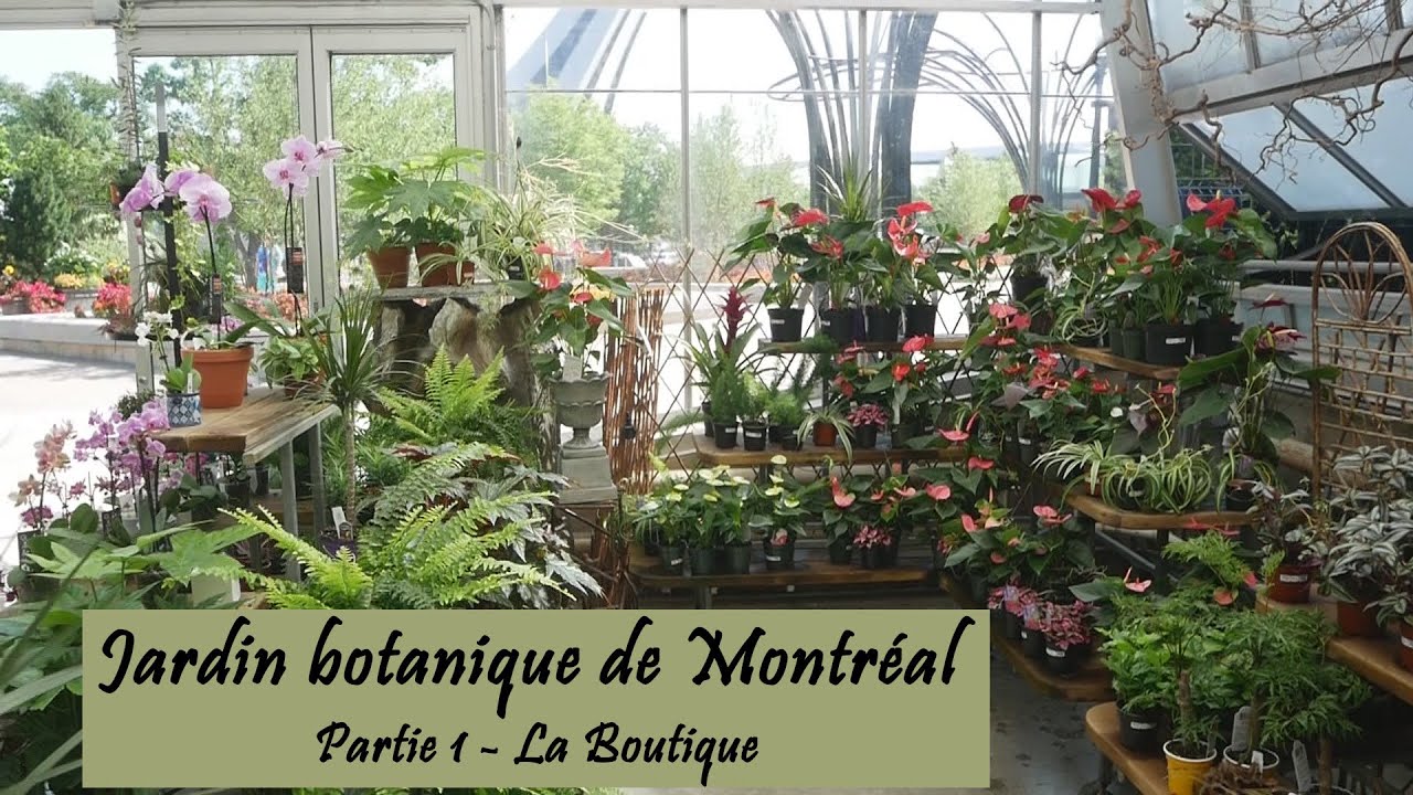 Jardin Botanique de Montréal - Partie 1/3 : La Boutique
