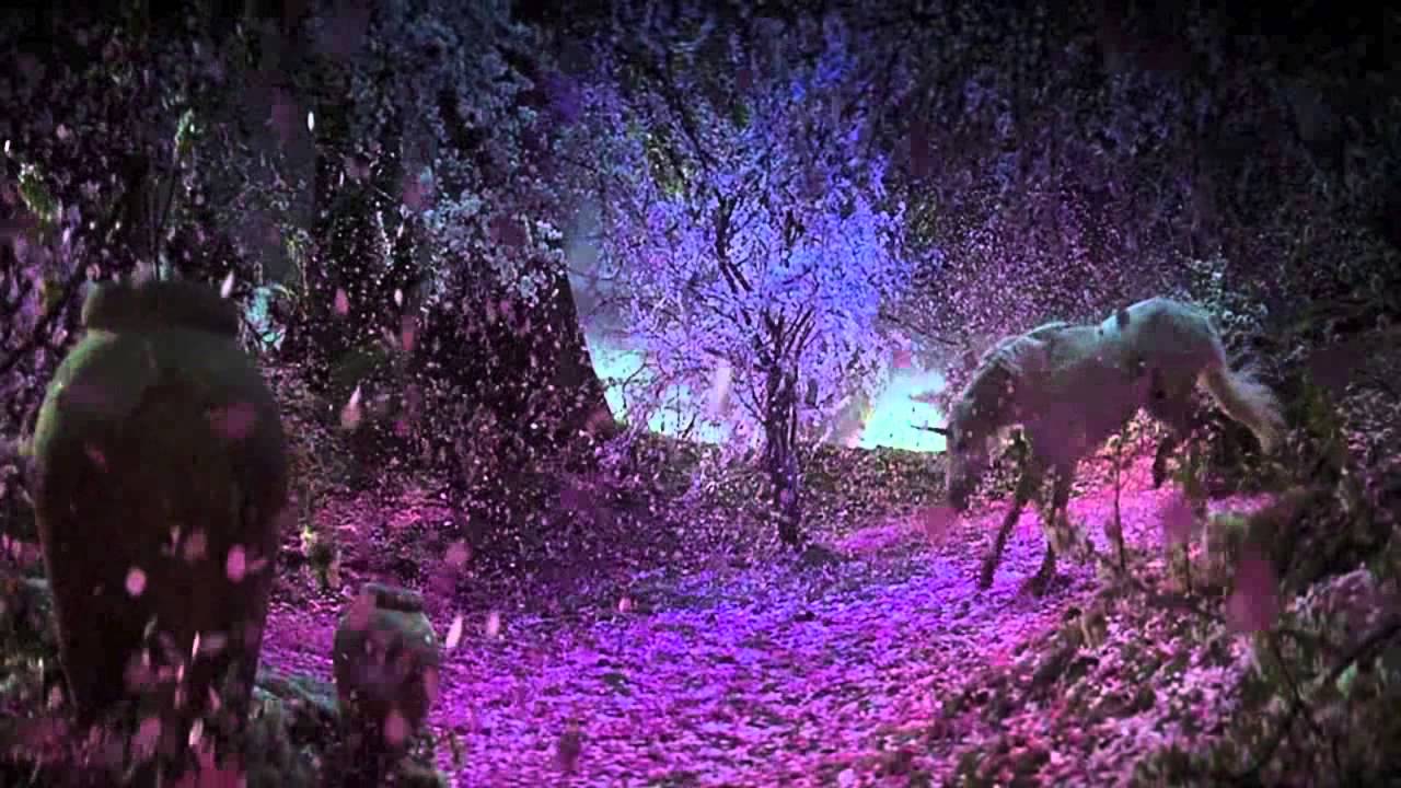 Another Green World - Wilderness (Official Video)