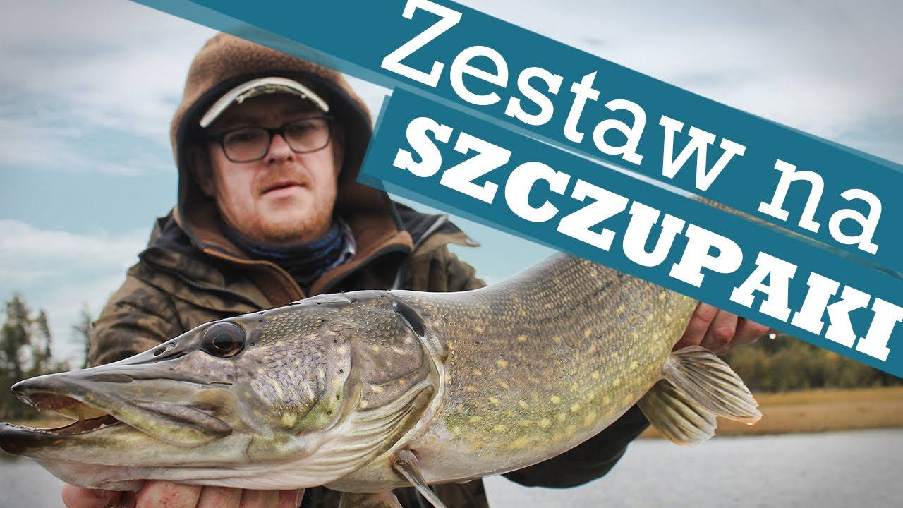 Zestaw na szczupaka - na co zwrócić uwagę?