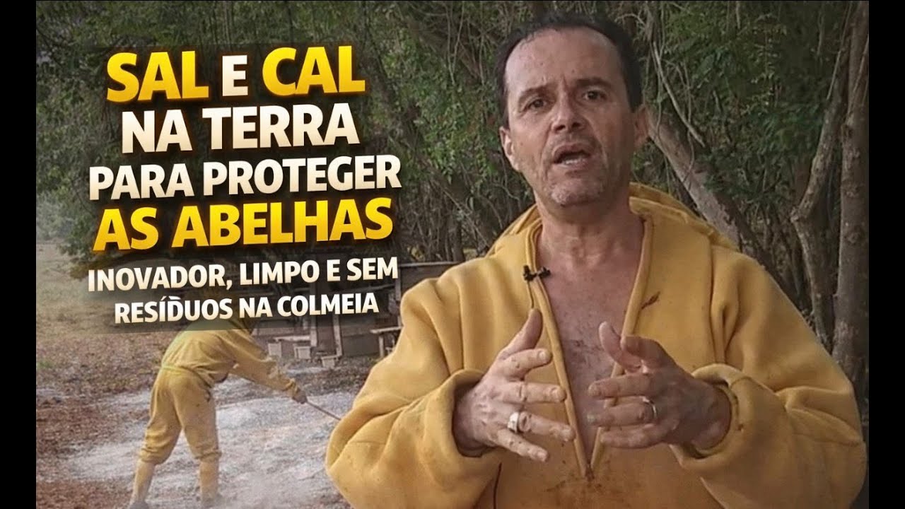 Pare de Usar Veneno: Sal e Cal na Limpeza do Apiário