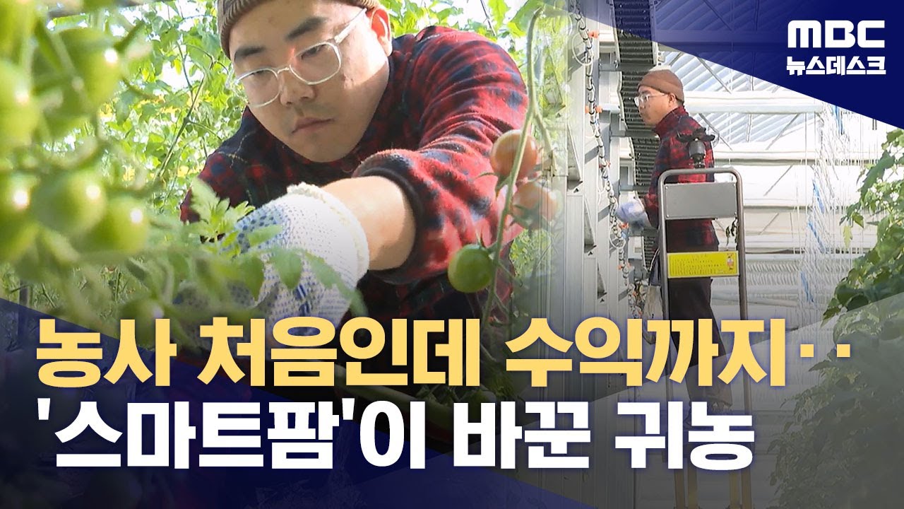 청년에 빌려준 '스마트팜'‥1년 지나니 1억 매출 (2025.12.13/뉴스데스크/MBC)