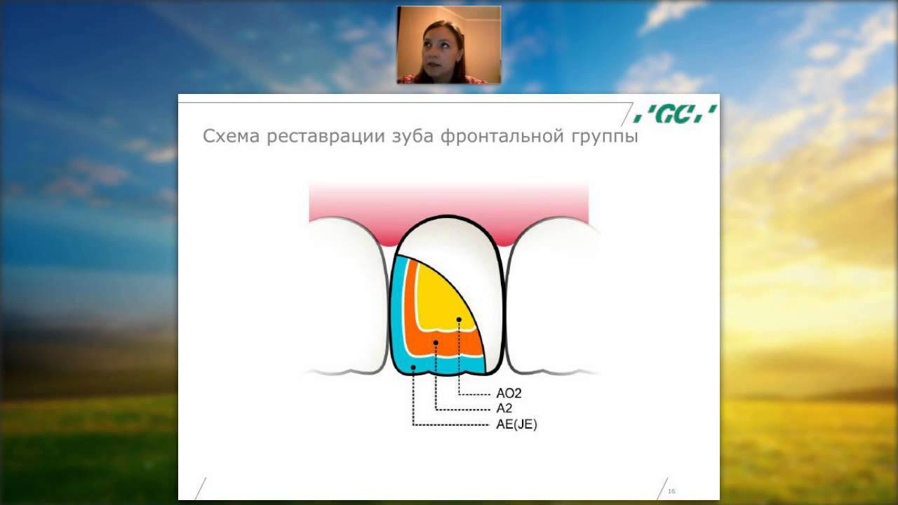 Вебинар 