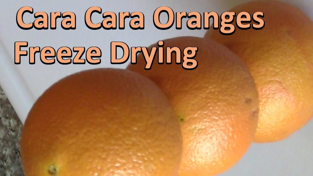 Freeze Drying Cara Cara Orange Slices