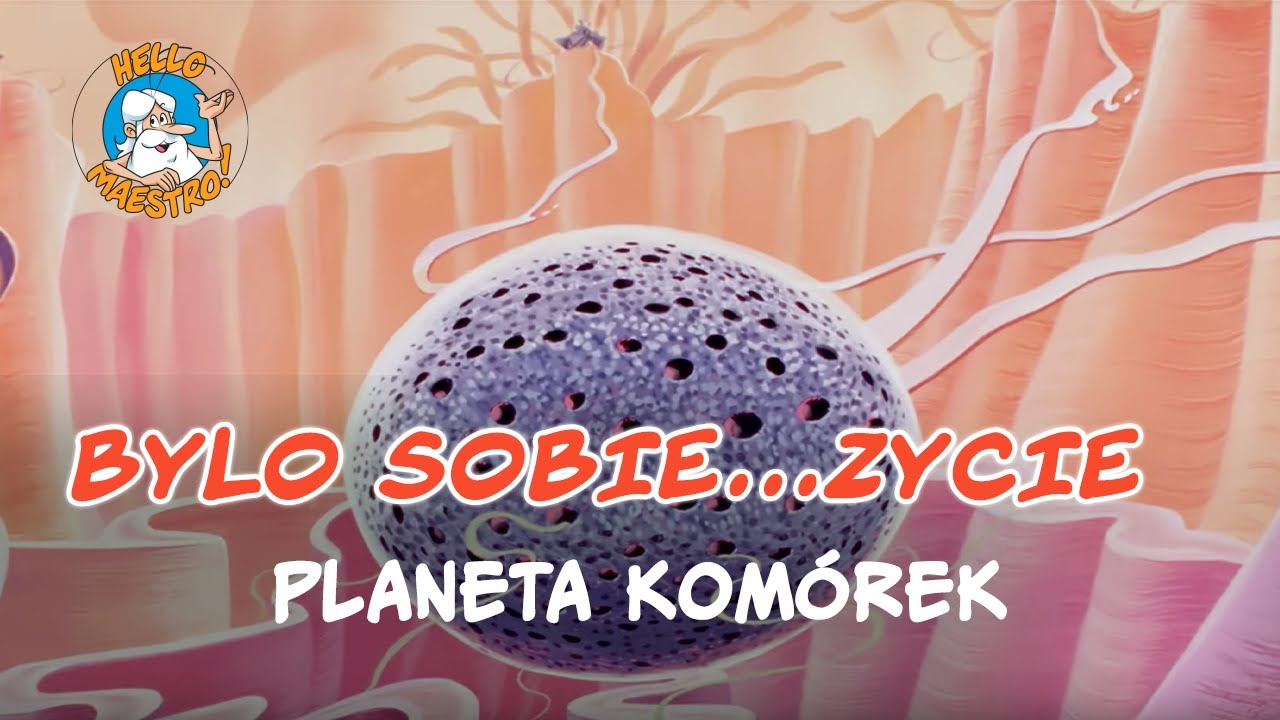 Bylo Sobie... Zycie 🌱- Planeta kom&oacute;rek 🧫