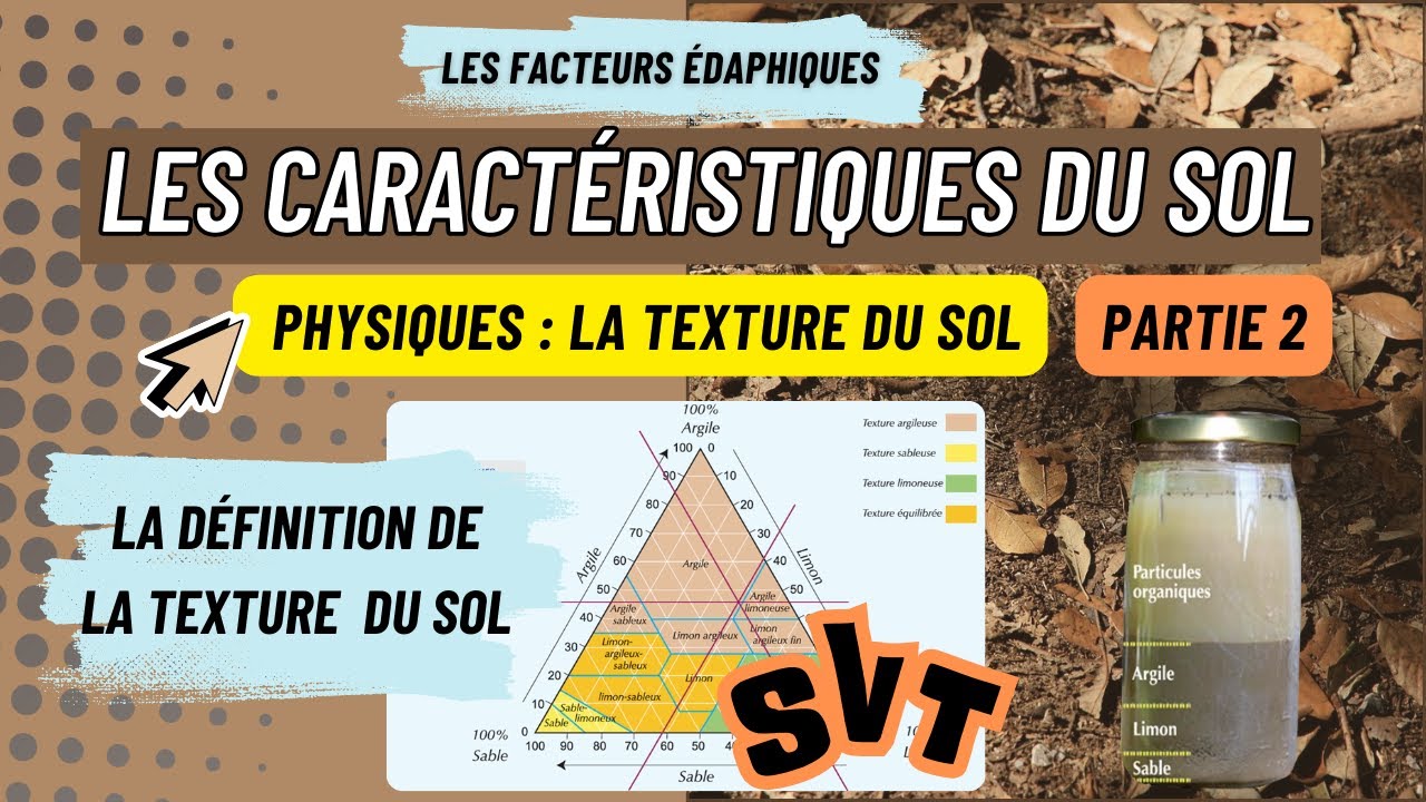 Texture du sol (partie 2 : définition) – Facteurs édaphiques | SVT Tronc Commun Scientifique Maroc