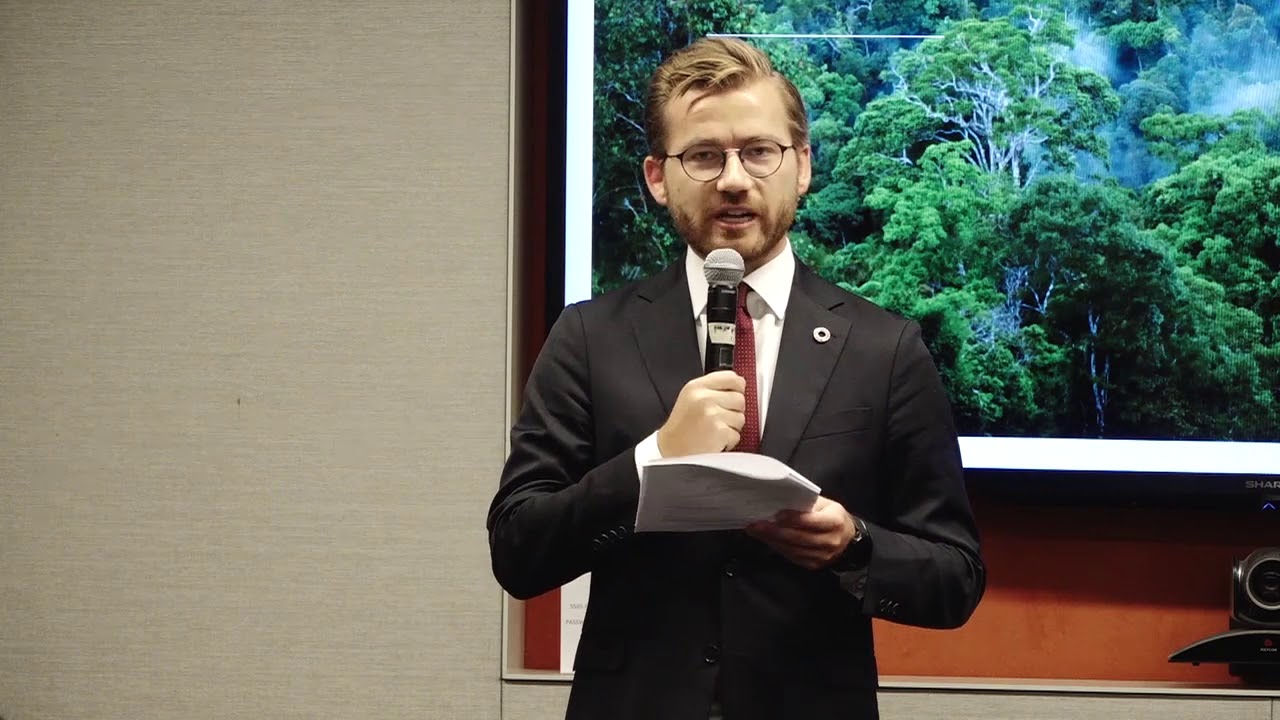 Catalyzing forest solutions to the climate change emergency