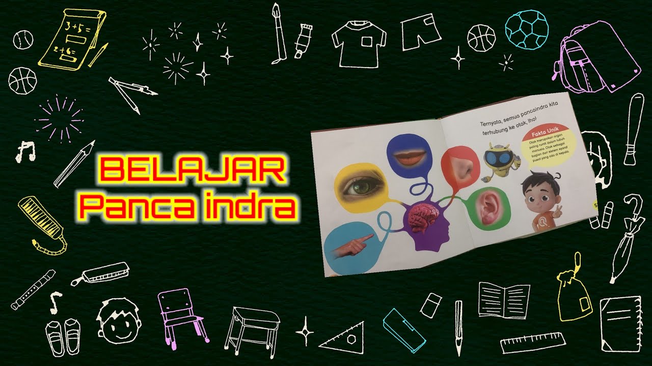 Fungsi panca indera  #sensoryplay#motorikkasar