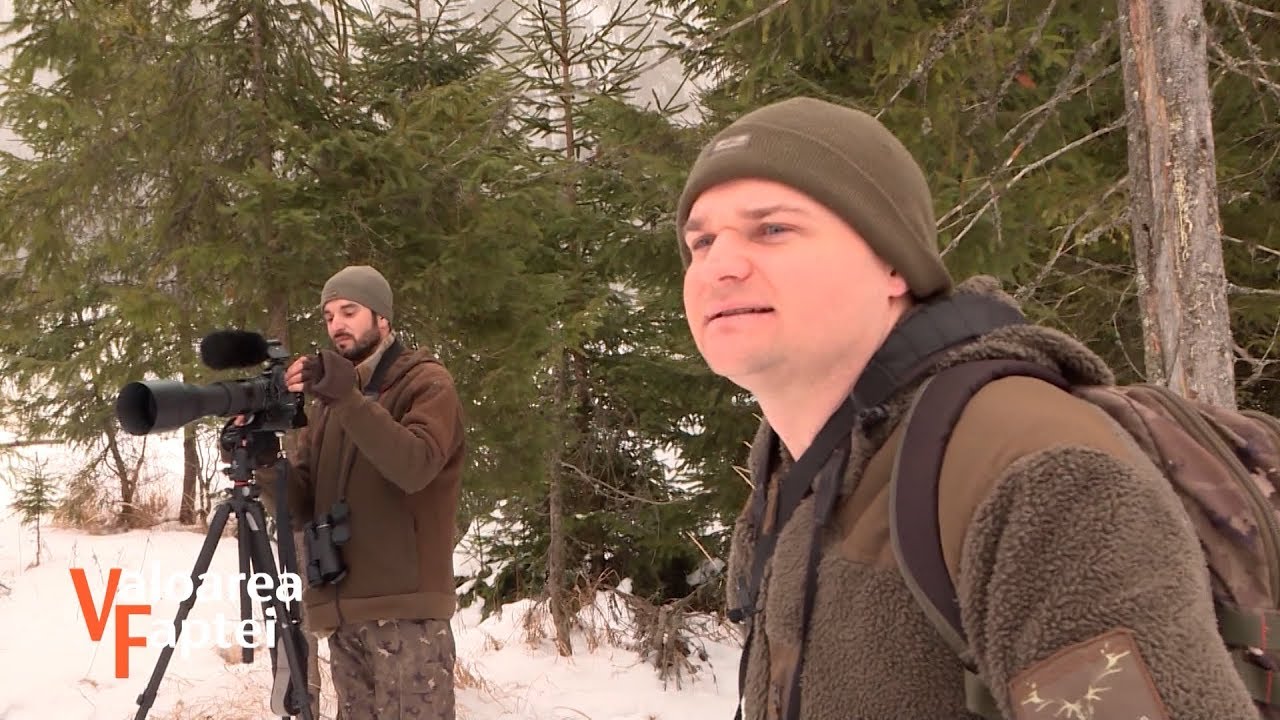 Wild Bucovina. Bogățiile din inima sălbăticiei