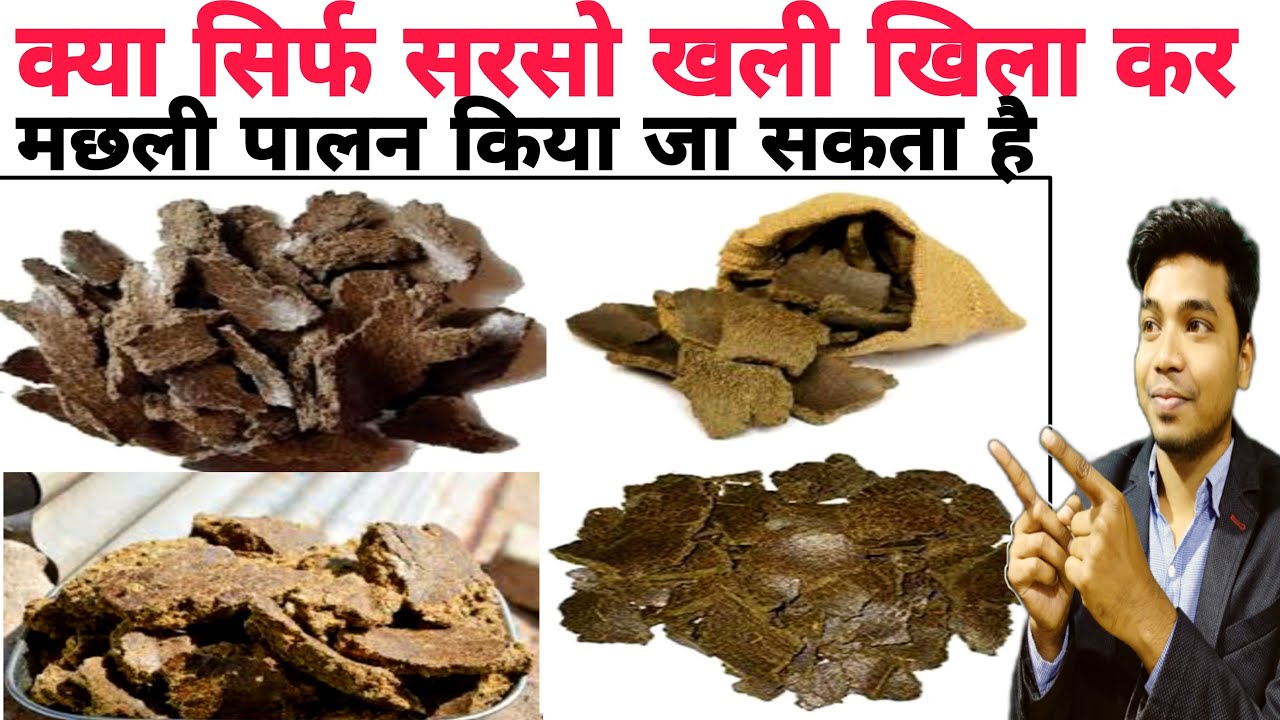 क्या सिर्फ सरसो खली से मछली पालन किया जा सकता है? फिशरीज ग्रेजुएट्स से पाए जानकारी