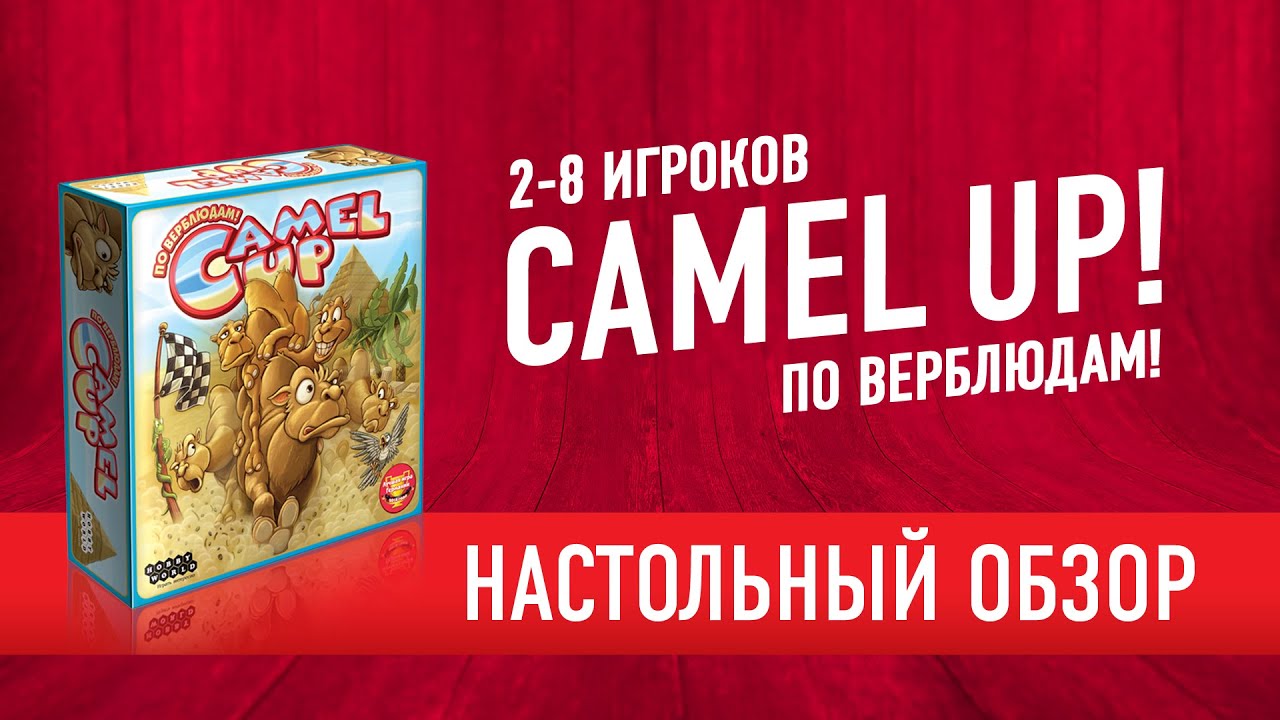 Camel Up! По верблюдам! Обзор настольной игры