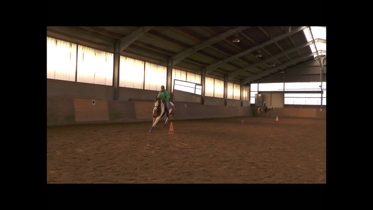 2. Stunde Bernd Hackl Kurs November 2014 Galopparbeit mit Angel HD