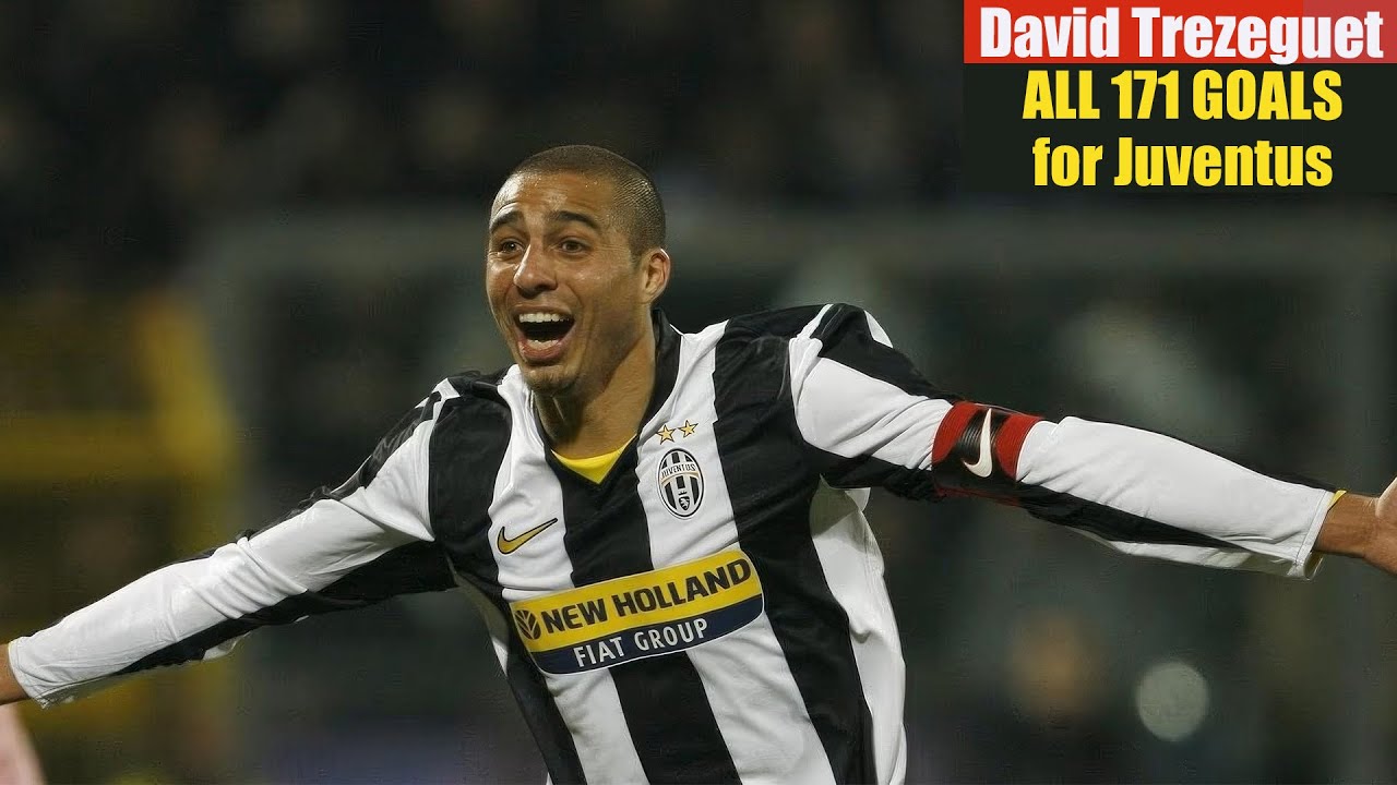 David Trezeguet ◉ All 171 Goals for Juventus.
