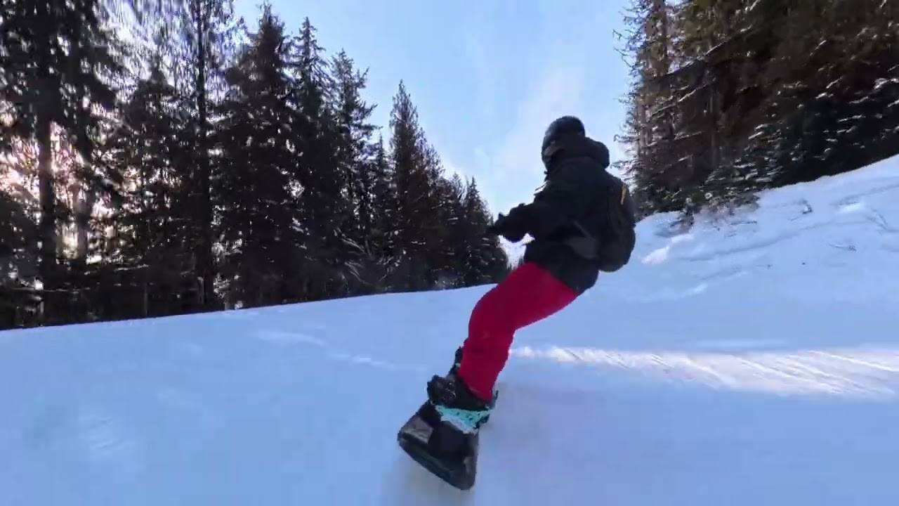 Revelstoke peak to bottom