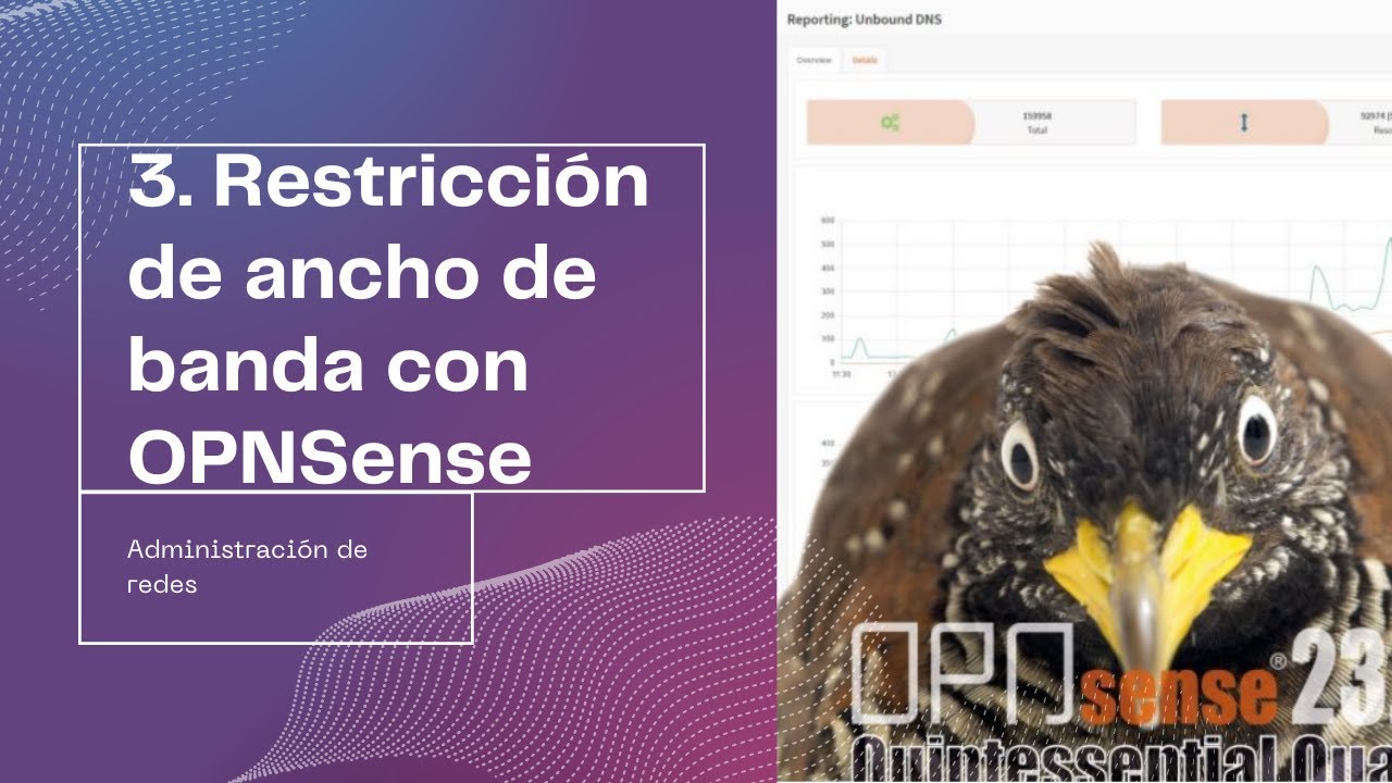 3. Restricción de ancho de banda con OPNSense