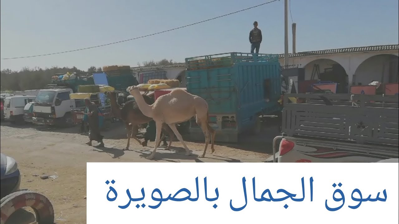 Souk Had draa, Essaouir سوق حد الدرا الصويرة