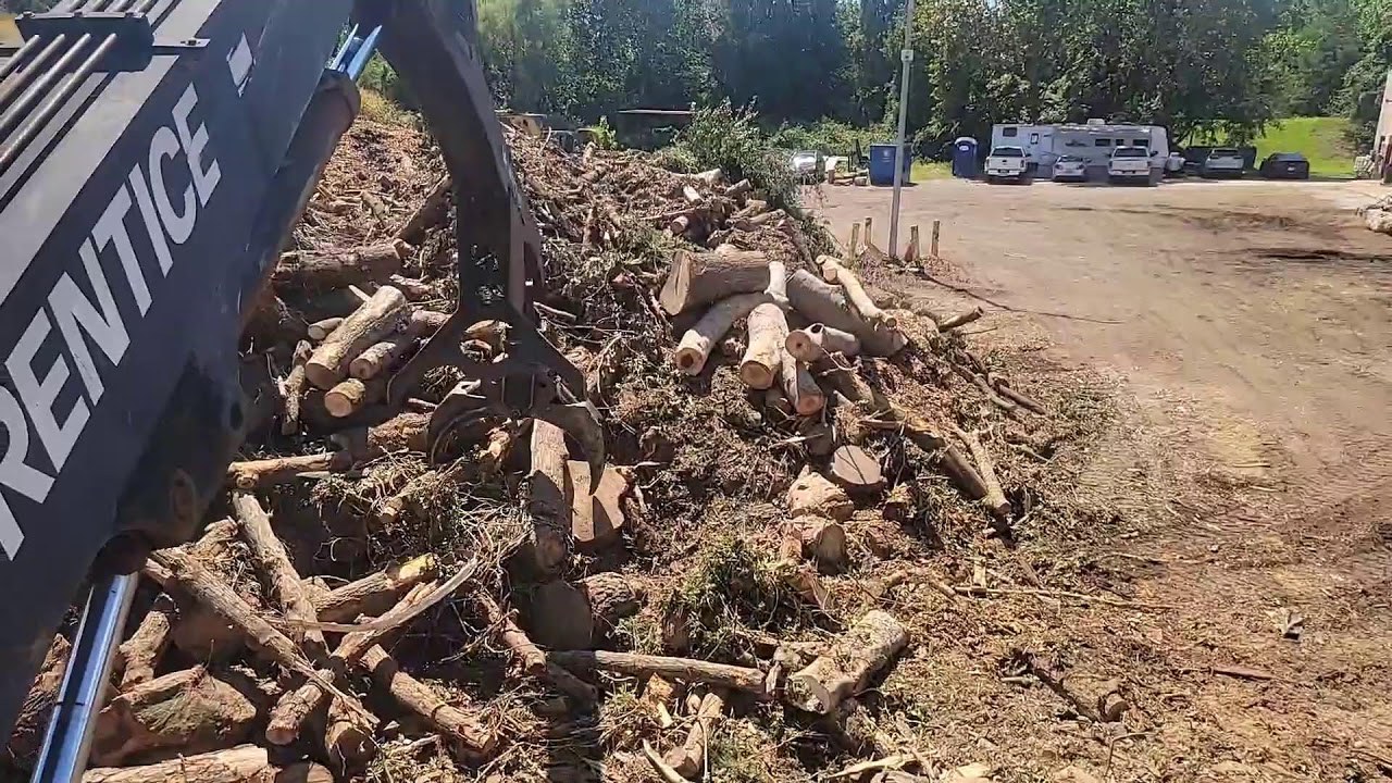 MAXED OUT WOOD YARD! Bandit Beast and Diamond Z! Grind time!