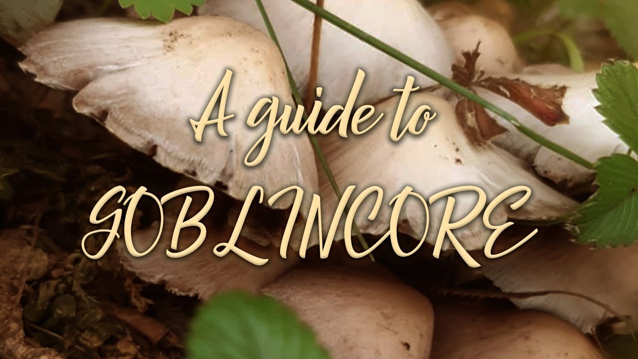 A GUIDE TO GOBLINCORE STYLE 🌿 tips, colors and outfit ideas