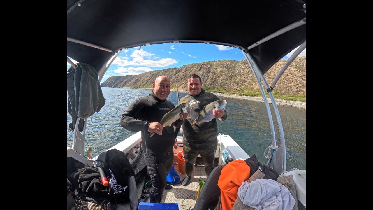 Serious Fishing & Paua Diving | Porirua NZ