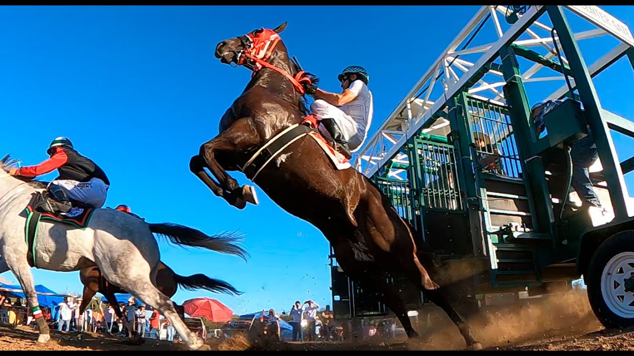 Carreras de Caballos en Moctezuma 31 Enero 2026
