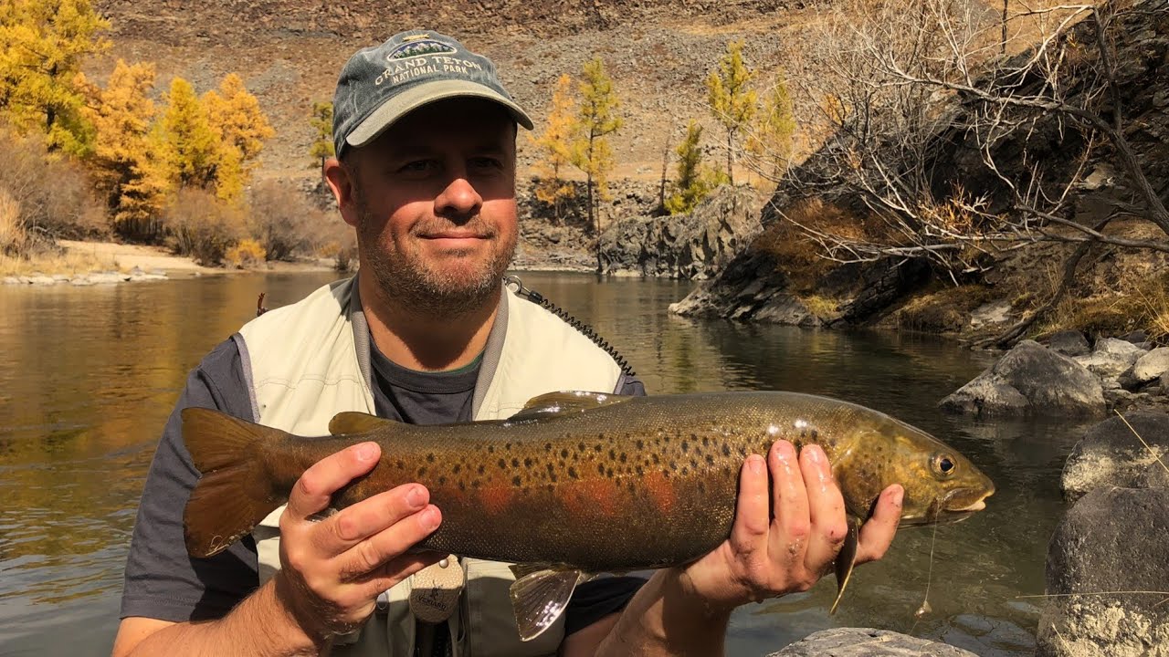 Legnagyobb szárazléggyel fogott mandzsúriai pisztrángom / My biggest lenok on a dry fly