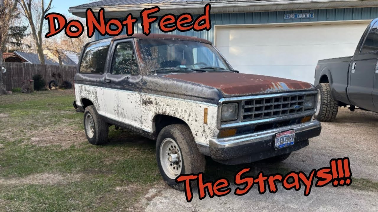 1988 Bronco II Budget Daily Driver project