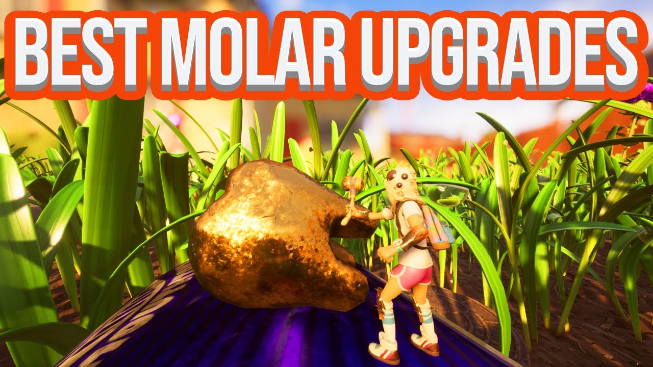 Основано: какое молоко MOLAR UPGRADE следует выбрать в первую очередь?