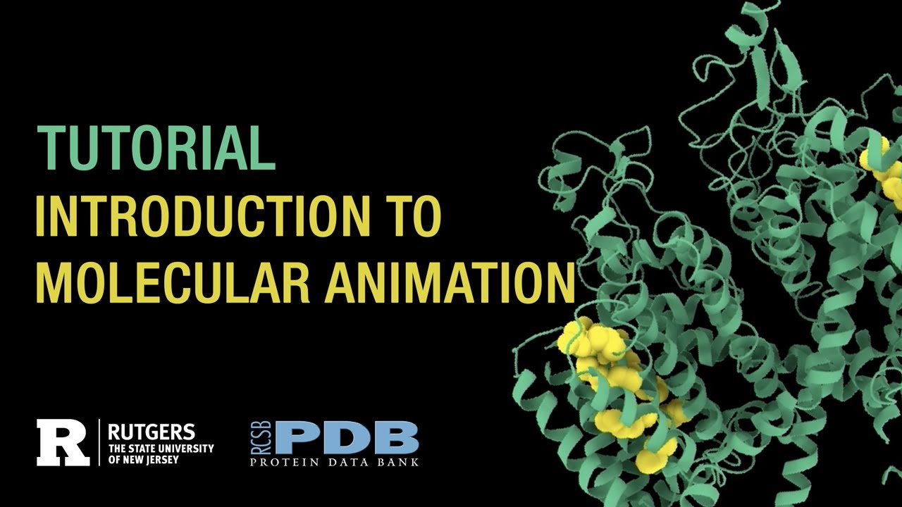 Tutorial: Introduction to Molecular Animation