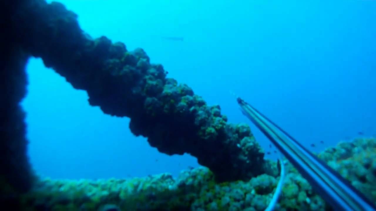 Spearfishing Louisiana Oil Rigs